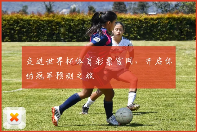 走进世界杯体育彩票官网，开启你的冠军预测之旅