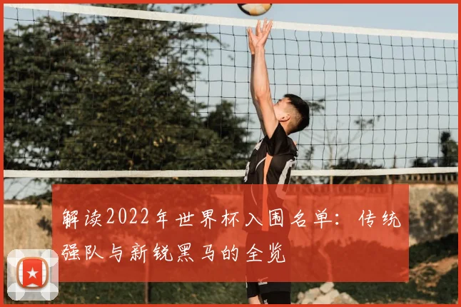 解读2022年世界杯入围名单：传统强队与新锐黑马的全览