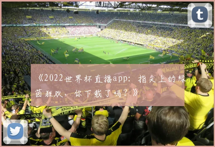《2022世界杯直播app：指尖上的绿茵狂欢，你下载了吗？》
