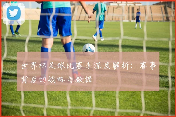 世界杯足球比赛季深度解析:赛事背后的战略与数据